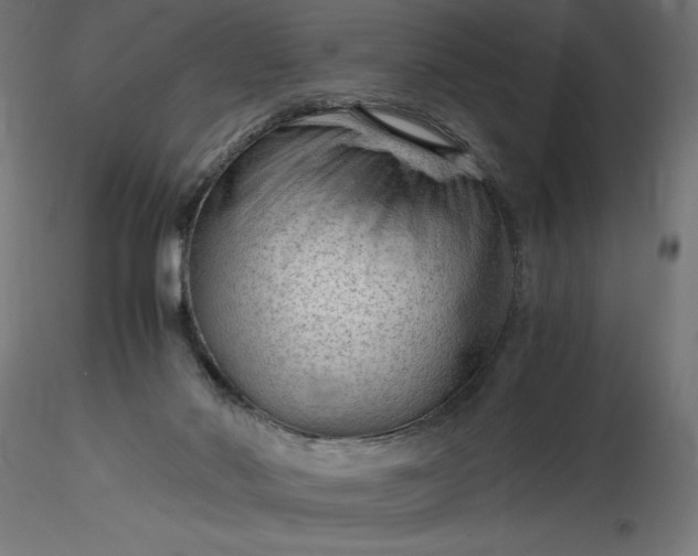 X0000116640022200912291605