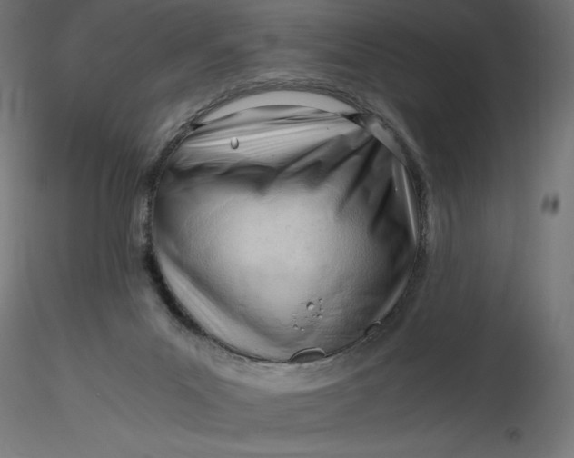 X0000116640023200912291605