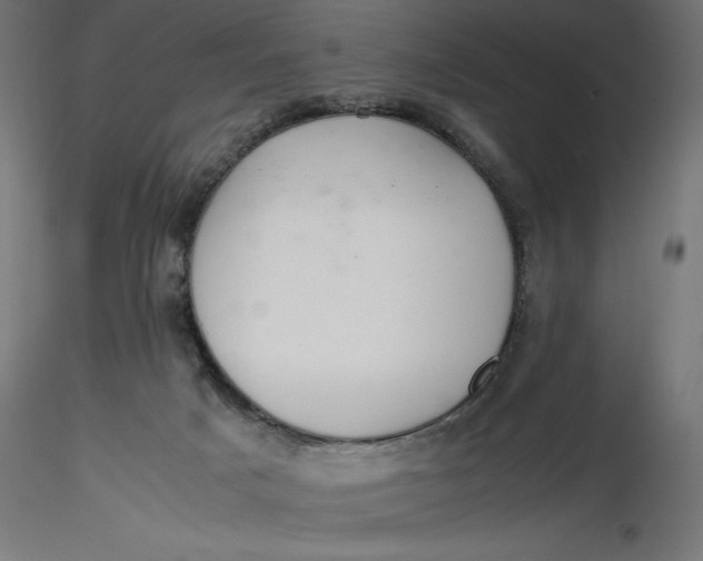 X0000116640025200912291604