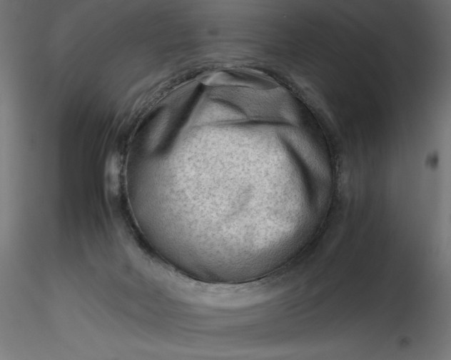 X0000116640026200912291604