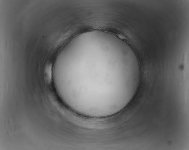 X0000116640028200912291604