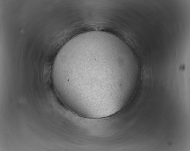 X0000116640030200912291604