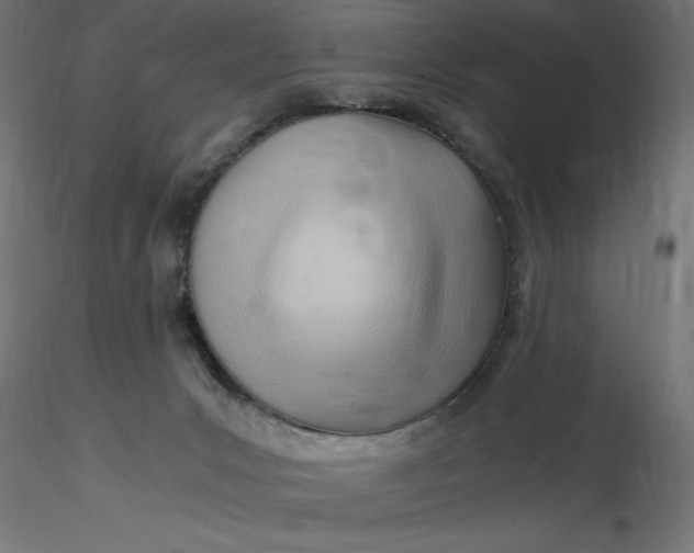 X0000116640031200912291604