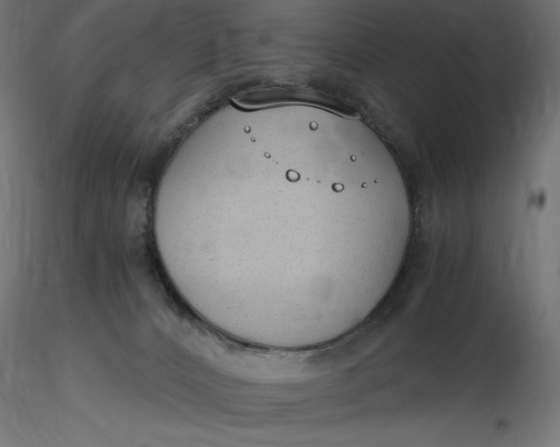 X0000116640032200912291604