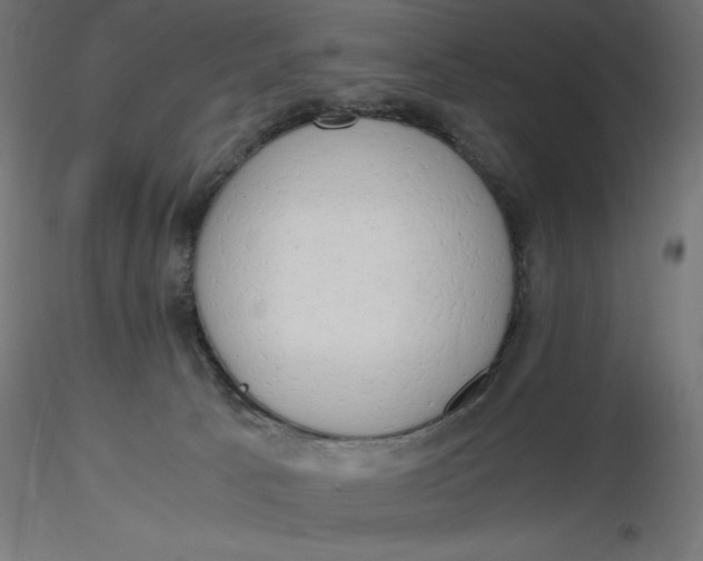 X0000116640033200912291604