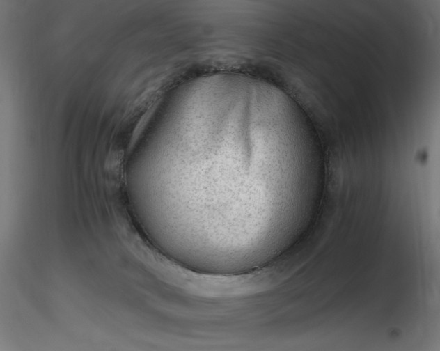 X0000116640034200912291604