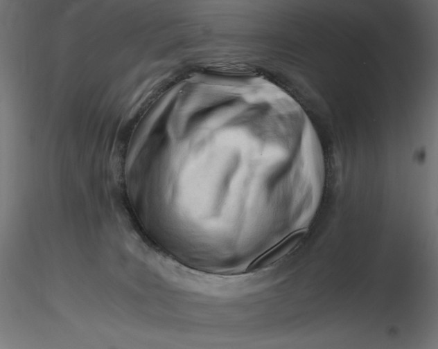 X0000116640035200912291604