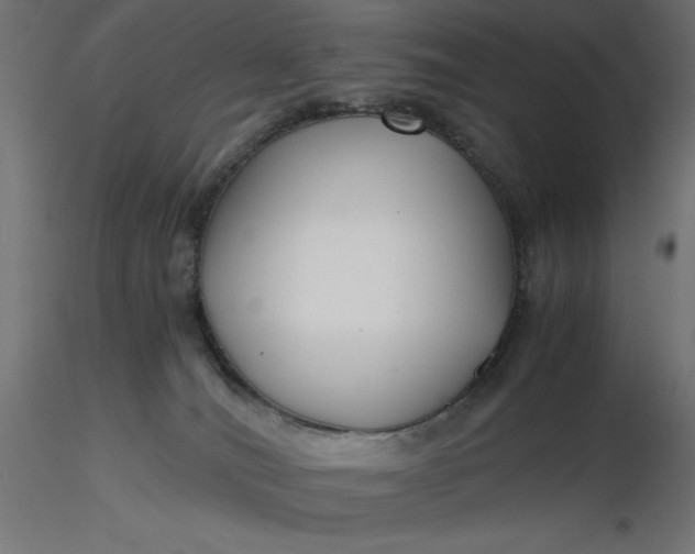 X0000116640036200912291604