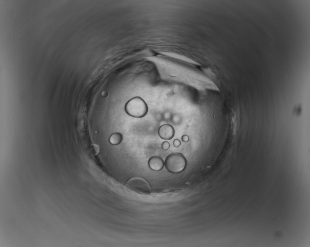 X0000116640038200912291604