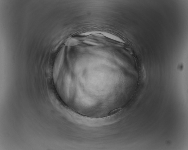 X0000116640039200912291604