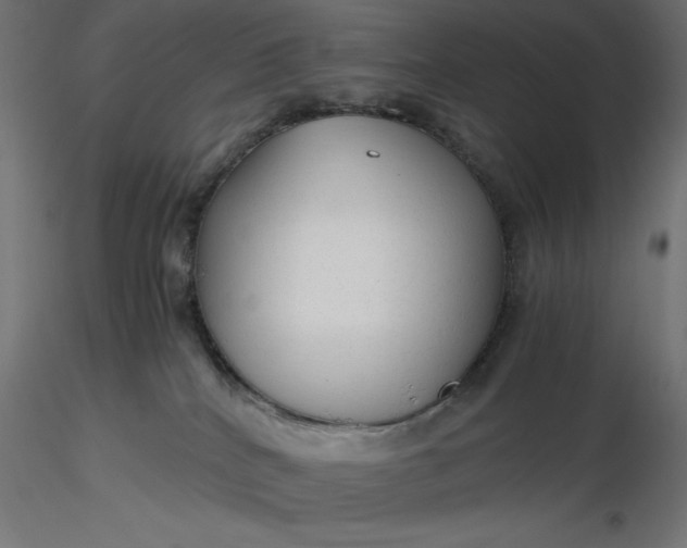 X0000116640040200912291604