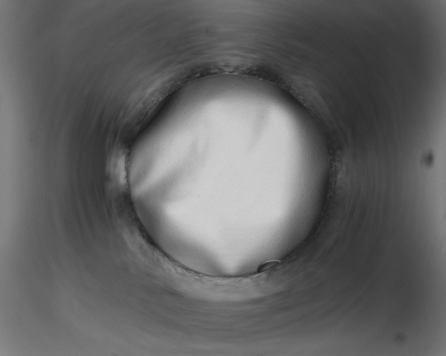 X0000116640042200912291604