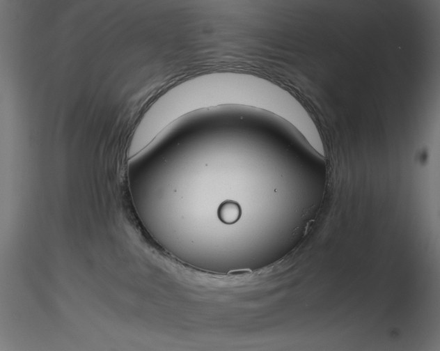 X0000116640043200912291604