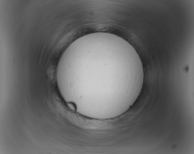 X0000116640044200912291604