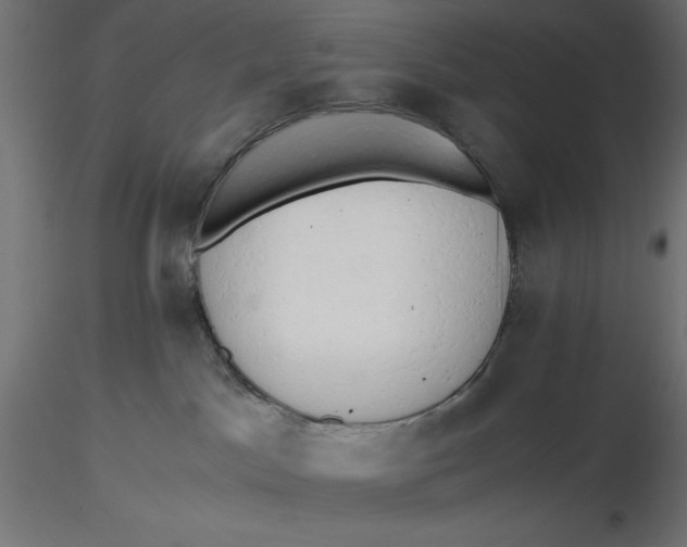 X0000116640045200912291604