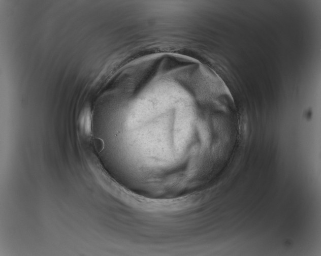 X0000116640046200912291604