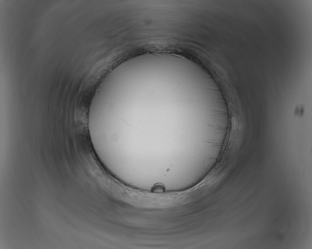 X0000116640048200912291604