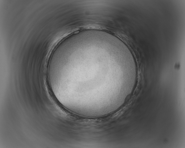 X0000116640049200912291604