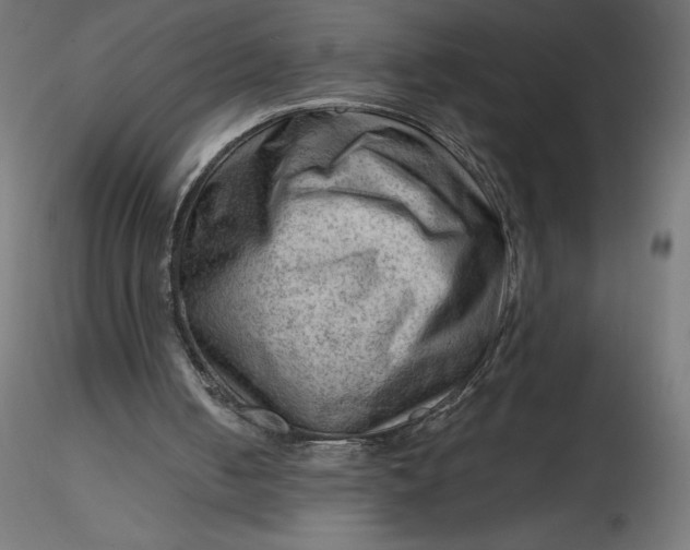 X0000116640050200912291604