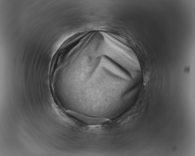 X0000116640052200912291604