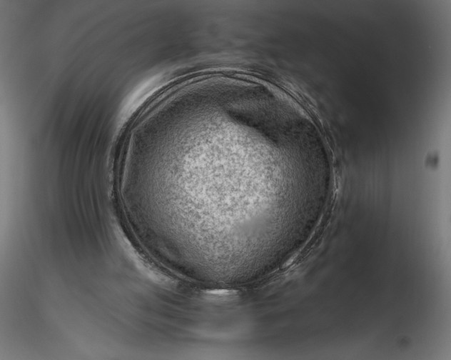 X0000116640053200912291604