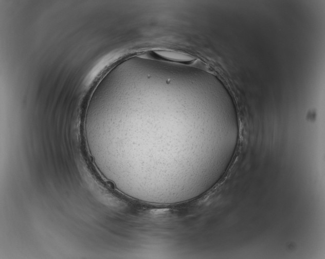 X0000116640054200912291604