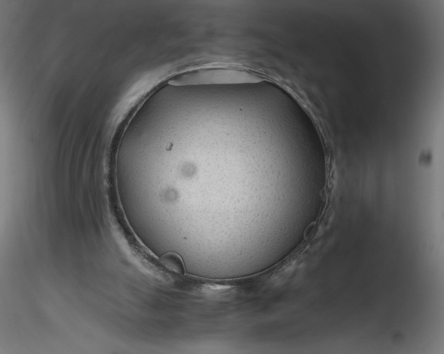 X0000116640055200912291604