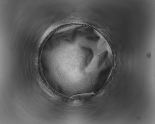 X0000116640056200912291604