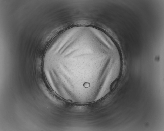 X0000116640057200912291604