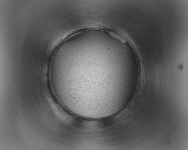 X0000116640058200912291604