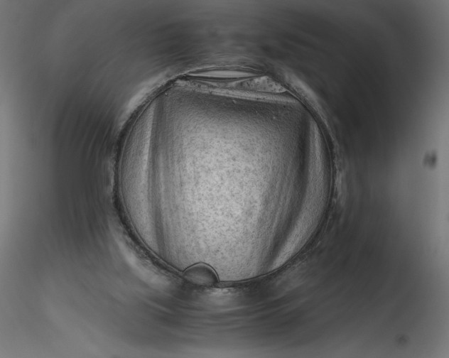 X0000116640059200912291604