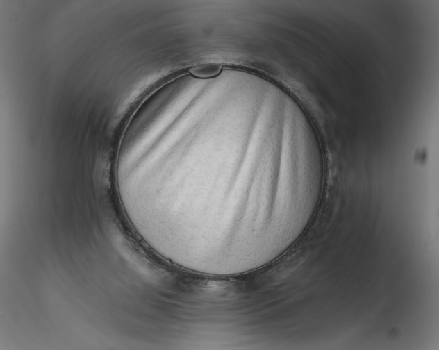 X0000116640060200912291604