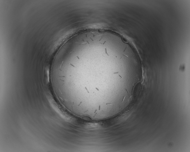 X0000116640061200912291604