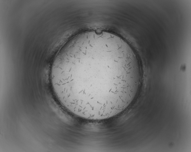 X0000116640065200912291604