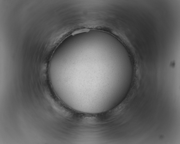 X0000116640066200912291604