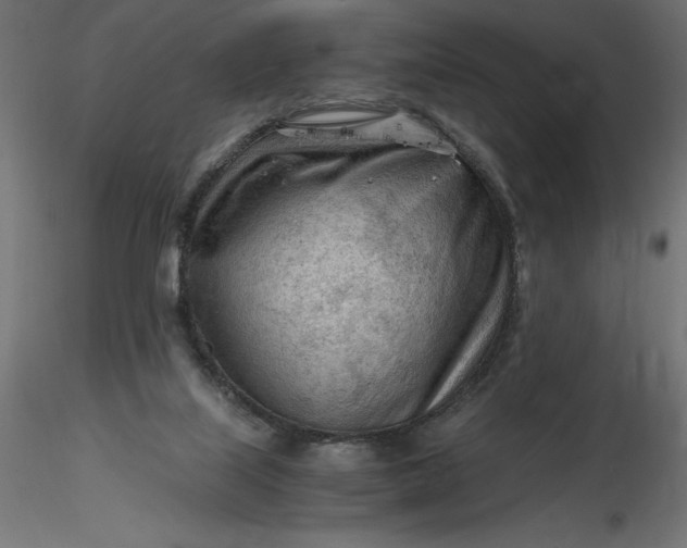 X0000116640067200912291604