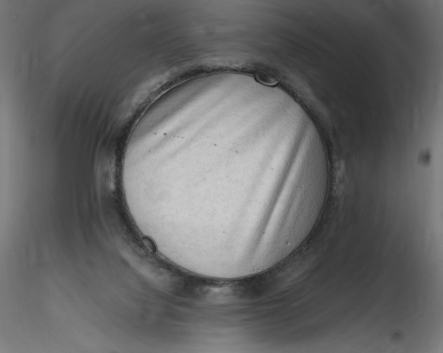 X0000116640068200912291604