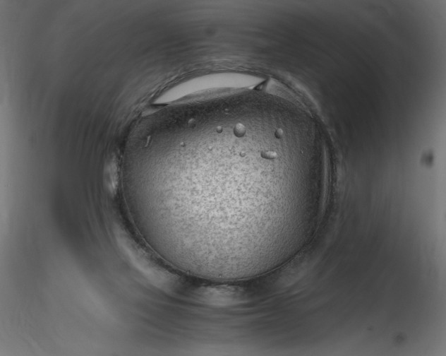 X0000116640069200912291604