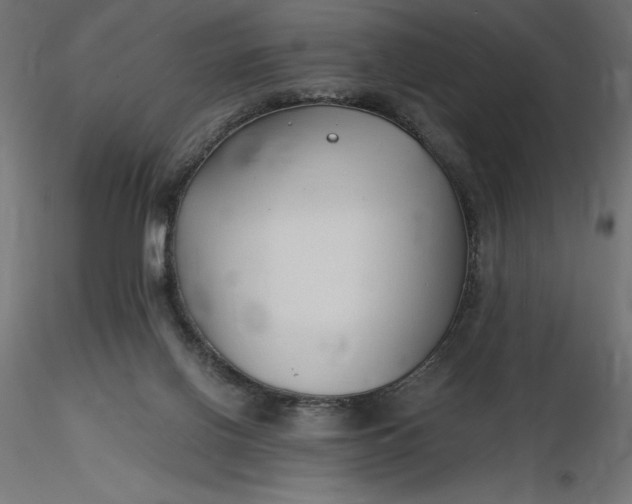 X0000116640070200912291604