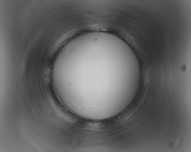 X0000116640071200912291604