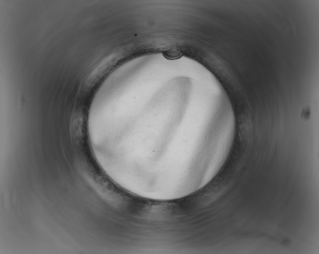 X0000116640072200912291604