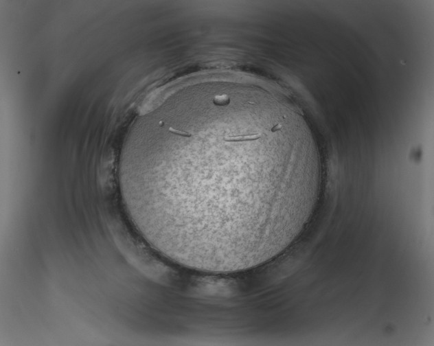 X0000116640073200912291604