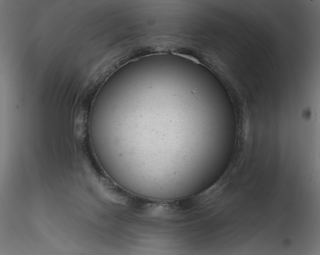 X0000116640074200912291604