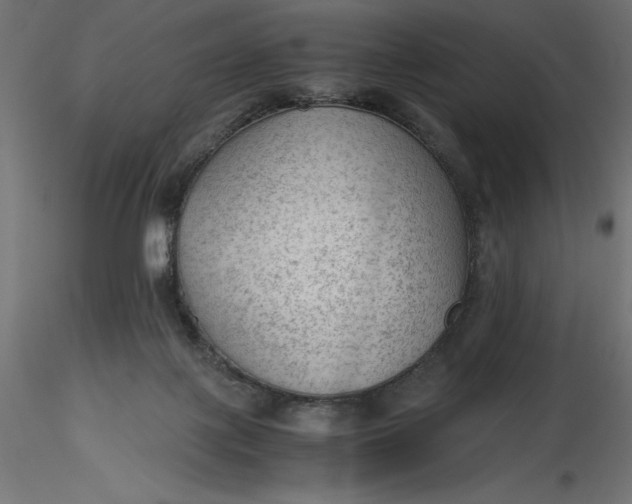 X0000116640075200912291604