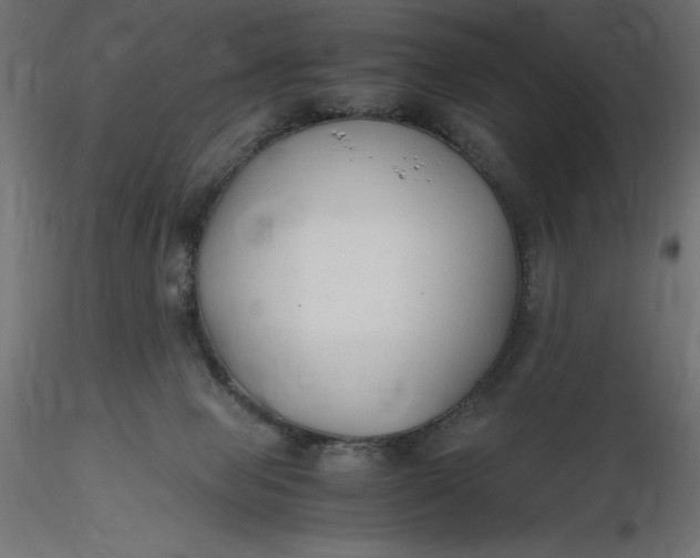 X0000116640077200912291604