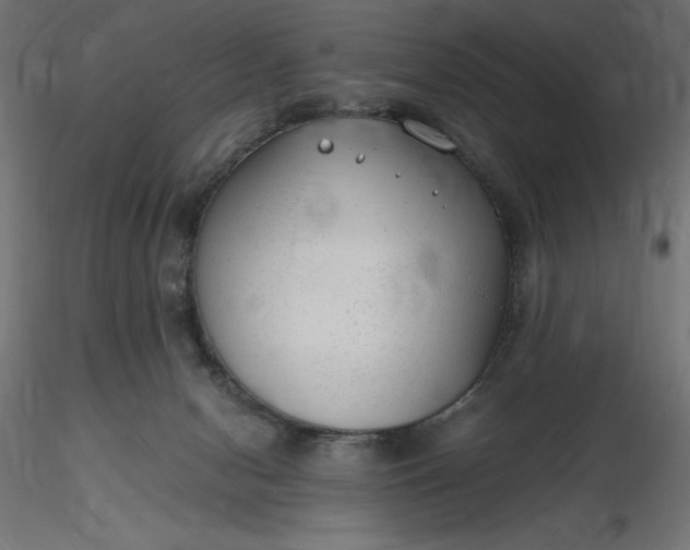 X0000116640078200912291604