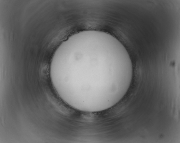 X0000116640079200912291604