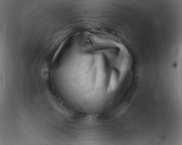 X0000116640080200912291604