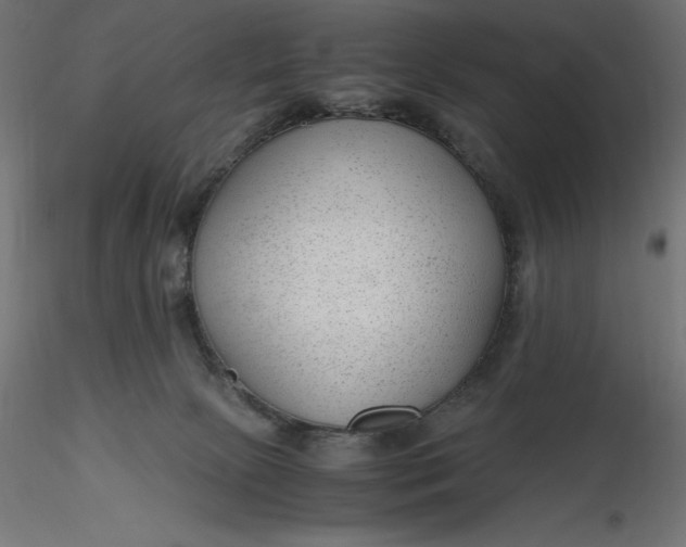 X0000116640081200912291604