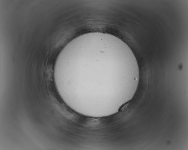 X0000116640083200912291604